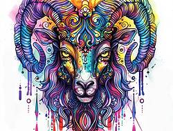 十二星座之白羊座手稿(13张)