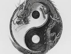 八卦图+龙手稿(8张)