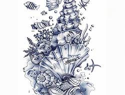 海螺手稿(18张)