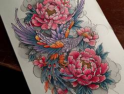 牡丹花手稿(11张)